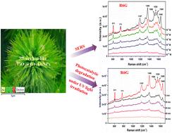 A novel approach for the fabrication of SERS substrates based on 3D urchin-like TiO2@Gr–AuNPs architecture