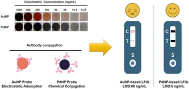 Black palladium nanoparticle-based lateral flow immunoassay for cardiovascular disease diagnosis†