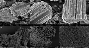 Enhanced Biodegradation of Polycyclic Aromatic Hydrocarbons in Contaminated Soils Using Biochar-Immobilized Mixed Bacteria: Mechanisms and Microbial Responses