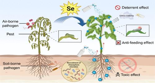 Selenium: The Toxicant for Pathogen and Pest but the Guardian of Soil and Crop