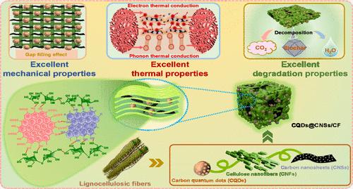 All-Biomass Derived Nanocomposite Films