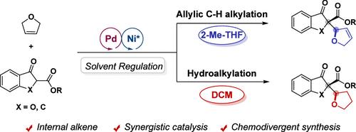 Solvent-Controlled Enantioselective Allylic C–H Alkylation of 2,5-Dihydrofuran via Synergistic Palladium/Nickel Catalysis