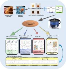 The flavour substances and key precursor peptides of meaty flavour prepared from Maillard reaction products of Lycium barbarum seed meal