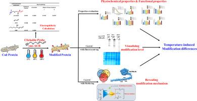 Exploring the impact of processing temperatures on cod protein modifications by α, β-unsaturated aldehydes using a clickable probe