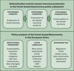 Forest-based bioeconomy and bio-based chemical production in the European Union: Policy issues, institutions, actors, and instruments in a changing forest policy subsystem