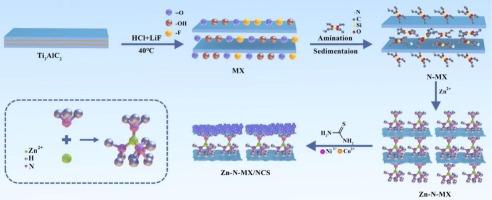 Synergistically boosting the performance of asymmetric supercapacitors: in-situ construction of NiCo2S4 on amino-functionalized and Zn2+-predoped multilayer MXene