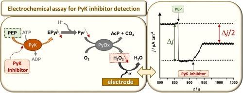 Electrochemical assay for the quantification of anticancer drugs and their inhibition mechanism