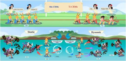 Comparative mechanisms of PDS-activated antibiotic remediation in groundwater via controlled-release materials with different mesoporous catalysts