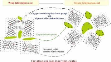 Pore and chemical structure variation of tectonically deformed coal and their influences on methane adsorption