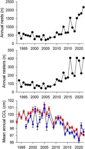 Global Decline in the Size of Sea Turtles