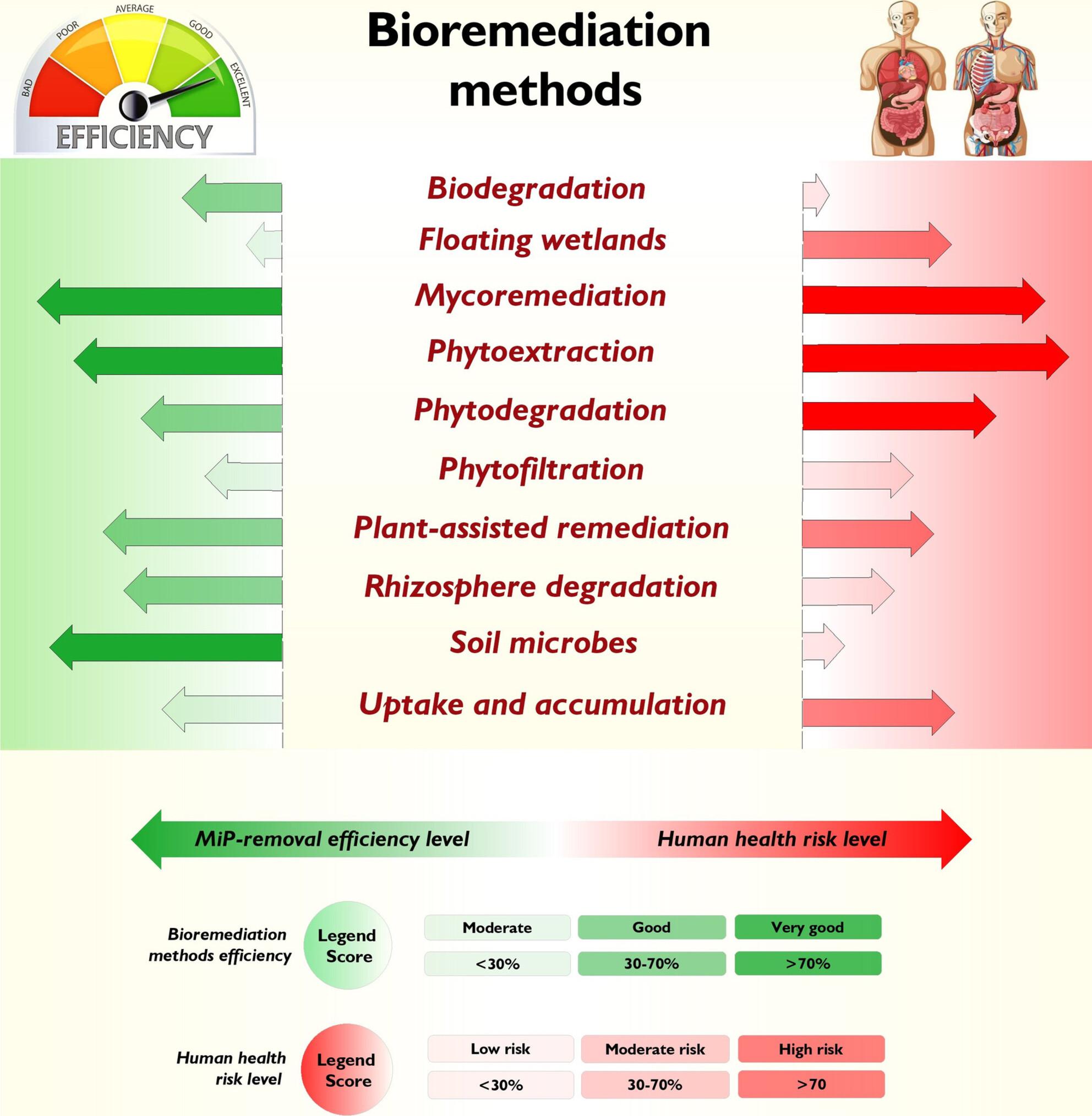 Insights Into the Efficiency and Health Impacts of Emerging Microplastic Bioremediation Approaches