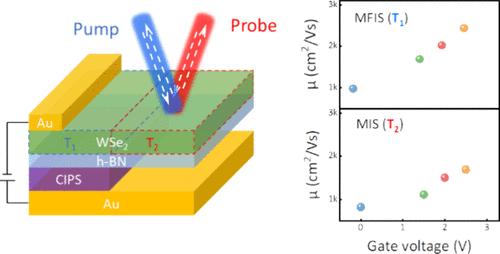 Operando Probing Carrier Dynamics in van der Waals Ferroelectric Field-Effect Transistors
