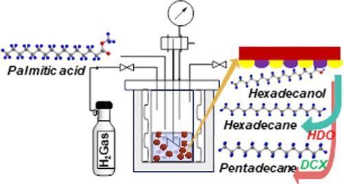 Red Mud-Supported Ni and Co Catalysts for Hydrodeoxygenation of Palmitic Acid: Insights into Reaction Pathway, Product Selectivity, and Catalyst Recyclability