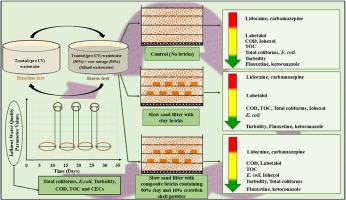 Enhanced ability of 3D-printed bricks to treat wastewater under variable conditions