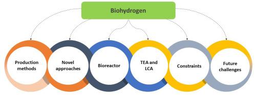 Unveiling the potentials of biohydrogen as an alternative energy source: Strategies, challenges and future perspectives