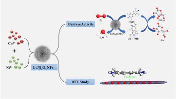 Bimetallic oxide (CoNi2O4) nanozyme as ROS independent for ascorbic acid detection with computational study