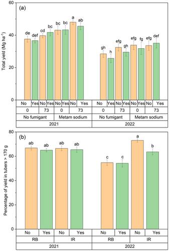 Phosphorus placement and microbial inoculation effects on potato yield and phosphorus recovery