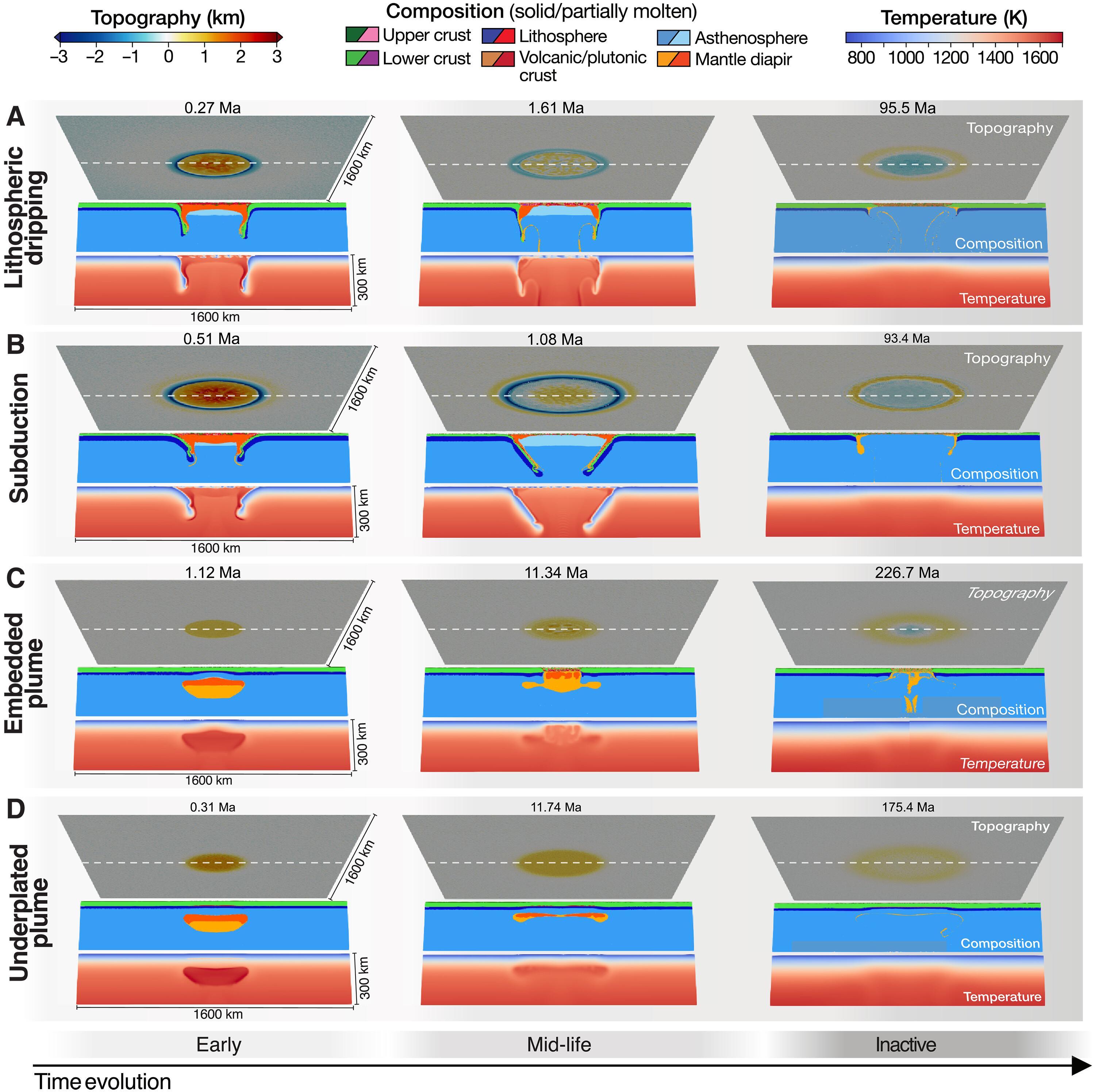 A spectrum of tectonic processes at coronae on Venus revealed by gravity and topography