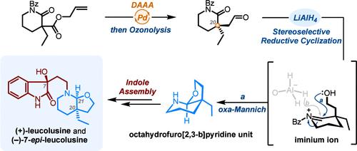 Total Synthesis of (+)-Leucolusine and (−)-7-epi-Leucolusine