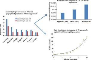 Resistance allele frequencies of Chilo suppressalis populations to Cry1Ab in Chongqing