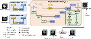 Mamba-based deformable medical image registration with an annotated brain MR-CT dataset