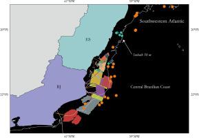Offshore wind farms threaten the endangered Brazilian kelp Laminaria abyssalis: a call for urgent nature-positive action