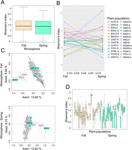 Plant Genetic Bases Associated With Microbiota Descriptors Shed Light Into a Novel Holobiont Generalist Genes Theory