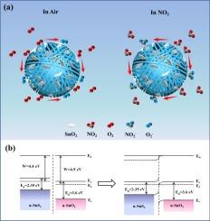 Enhanced NO2 sensing performance of hierarchical nanosheets-assembled SnO2/SnS2 hollow microsphere at low temperature