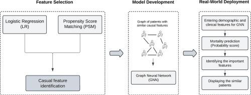 A lightweight graph neural network to predict long-term mortality in coronary artery disease patients: an interpretable causality-aware approach