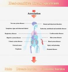 Establishing and mapping heat-sensitive disease spectrum in eastern China: A comprehensive analysis of 1.4 million deaths involving 14 major disease categories