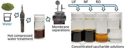 Recovery of concentrated saccharide solution from microalgal residue via combined hot compressed water treatment and membrane separation