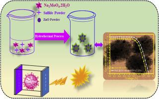 Enhancing photovoltaic performance of flower-like MoS2@ZnO core-shell nanowire photoanodes: Synergistic effects on solar energy conversion