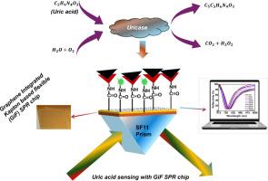 A graphene integrated Kapton based flexible and highly sensitive plasmonic sensor for uric acid sensing