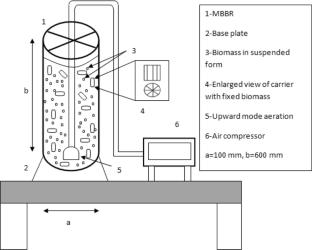 Kinetic behaviour of petroleum based oily wastewater treatment in a hybrid moving bed biofilm reactor