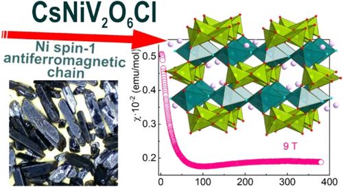 Crystal Structure and Low-Dimensional Magnetism in CsNiV2O6Cl