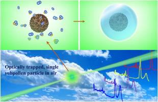 Surface activity of optically-trapped single subpollen particle interacting with atmospheric water