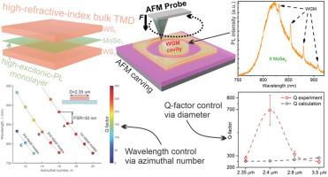 Engineering whispering gallery modes in MoSe2/WS2 double heterostructure nanocavities: Towards developing all-TMDC light sources