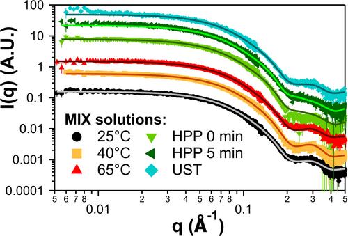 Small Angle X-Ray Scattering Studies on the Effects of Ultra Shear Technology on Model Animal and Plant-Based Protein Solutions