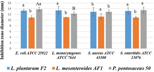 From Preparation to Bioactivity: A Comparative Study on Preparation Methods and Characterization of Postbiotics