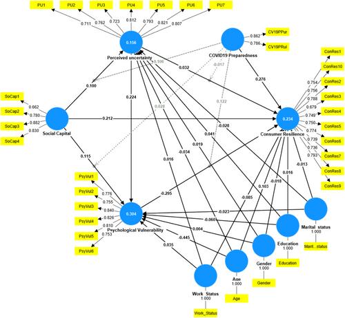 Social Capital and Its Psychological Consequences on Consumer Resilience–A Mediated Moderation Model