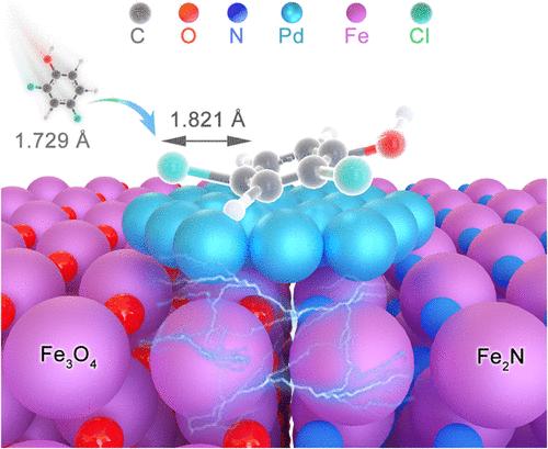 Combining a Pd Cluster and a Built-in Electric Field as a Biomimic for Stable C–Cl Bond Polarization