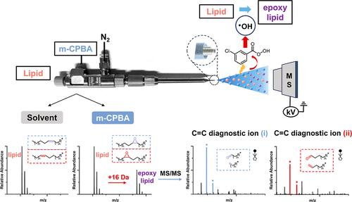 Three-Layer Electrospray Constructing Charged Microdroplets for Online Derivatization and Position Identification of Lipid C═C Bonds