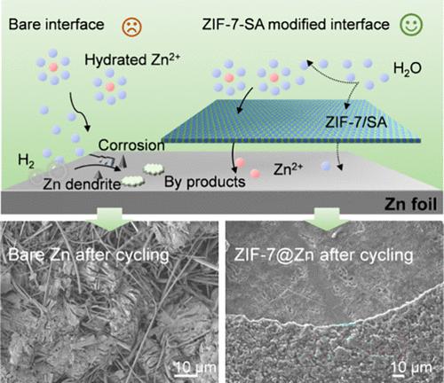 Zinc-Ion Conductive Metal–Organic Framework Interfaces for Comprehensive Anode Protection in High-Performance Aqueous Zinc-Ion Batteries