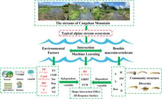 Synergistic effects of environmental factors on benthic diversity: Machine learning analysis