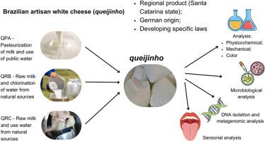Brazilian artisan white cheese (queijinho): Characterization of lactic bacteria and their physicoChemical, microbiological, and sensorial properties