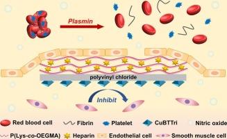 A multifunctional endothelial-mimetic surface: Synergistically combating thrombus formation by releasing nitric oxide, promoting fibrinolysis, and enhancing endothelialization