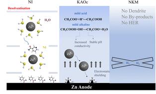 A dual-additive electrolyte enables highly reversible Zn electrochemistry†