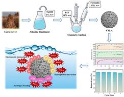 Adsorption of low-concentration perfluorooctanoic acid on corn stover-based lignin amine by synergy of electrostatic and hydrophobic interactions†