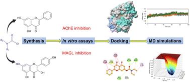 Flavonoid carbamate hybrids: design, synthesis, and evaluation as multi-target enzyme inhibitors for Alzheimer's disease†