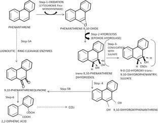 Green treatments for polyaromatic hydrocarbons in e-wastes